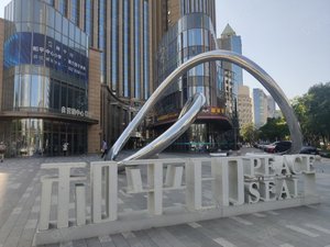 融创星河和平印